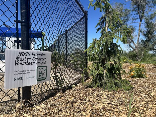 Staked sign saying: NDSU Extension Master Gardener Volunteer Project - Creating beauty and wellness one garden at a time."